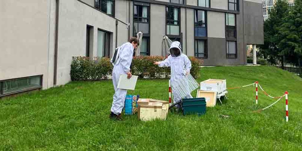 Giornata Internazionale per la Biodiversità: terza edizione di Bee Korian